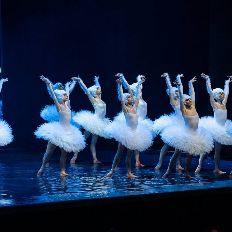 Swan Lake on the Water - PALAIS 12